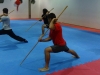 Curso Internacional de Entrenadores de Wushu IWUF. Campinas 2013.